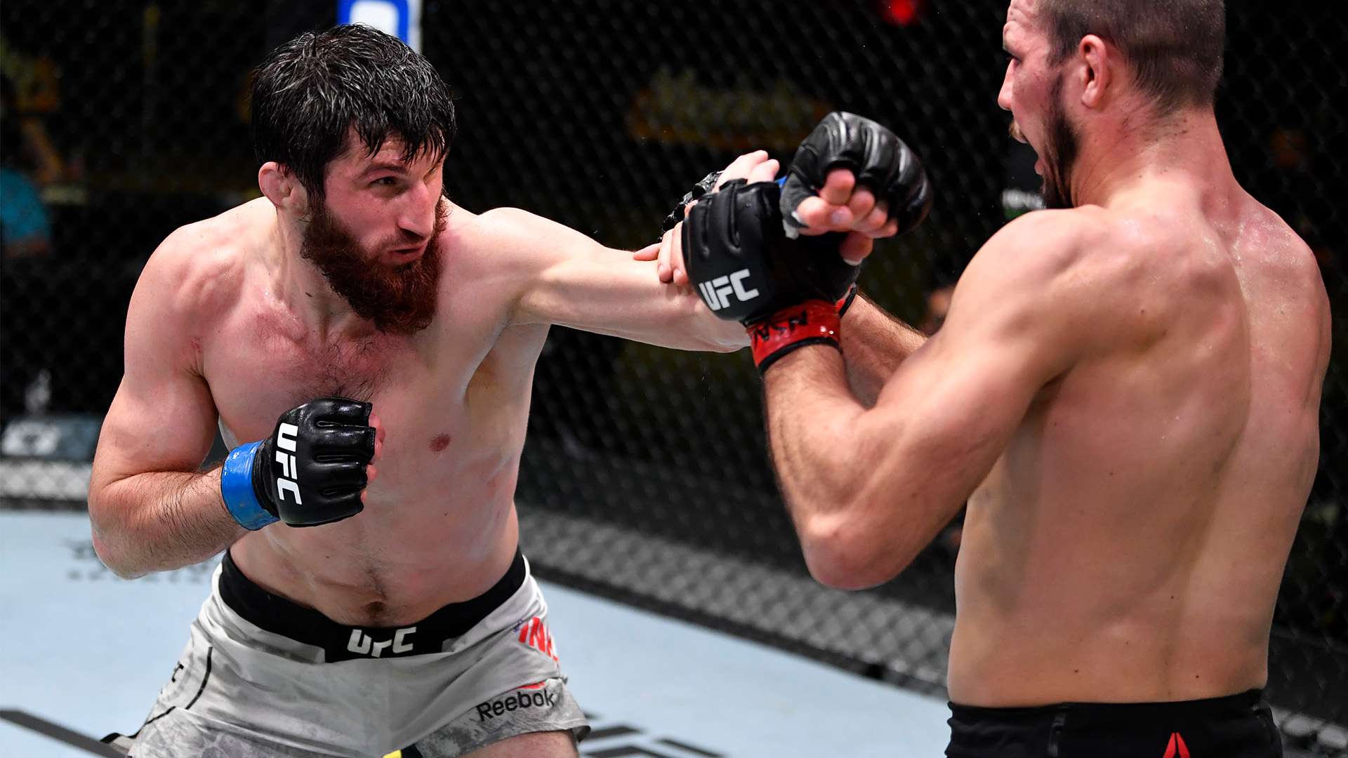 子也不在少 子也不在少