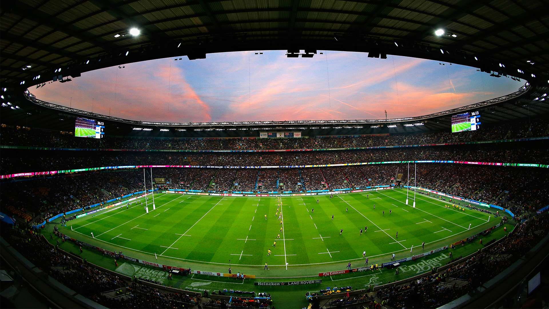 球迷們不僅 球迷們不僅